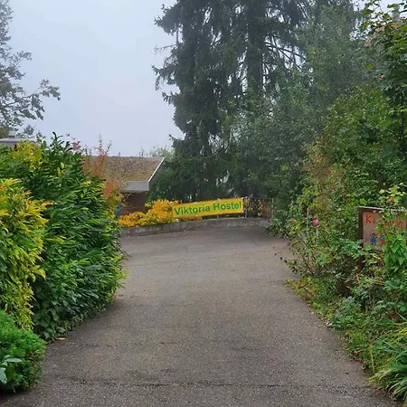 Viktoria Budget 旅馆