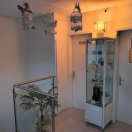 Hostel Viktoria Budget *
