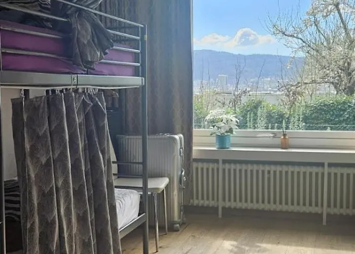 Viktoria Budget Vandrerhjem Zürich