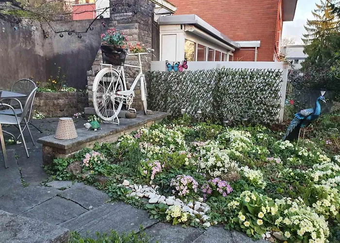 Vandrerhjem Viktoria Budget *